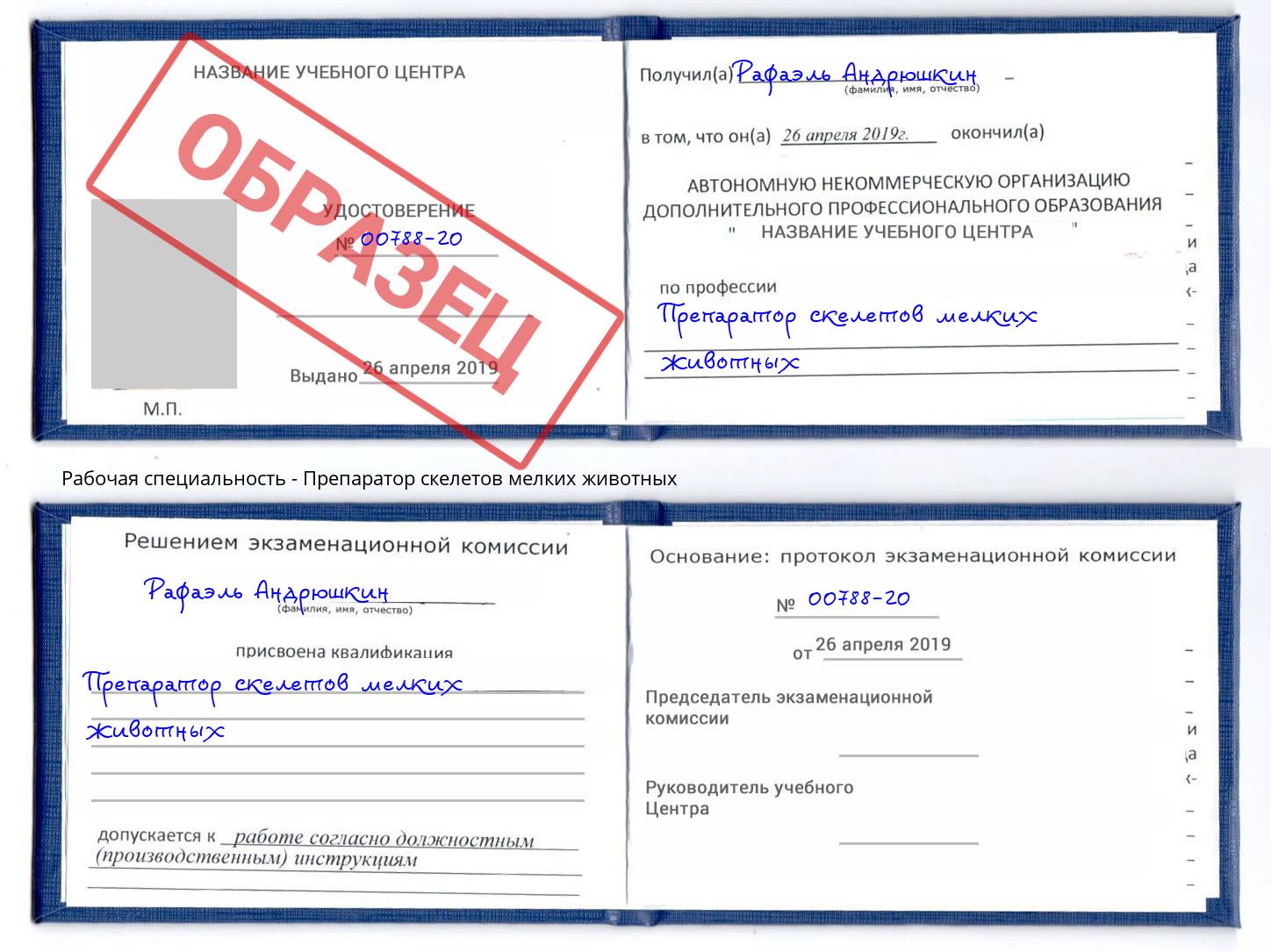 Препаратор скелетов мелких животных Талнах