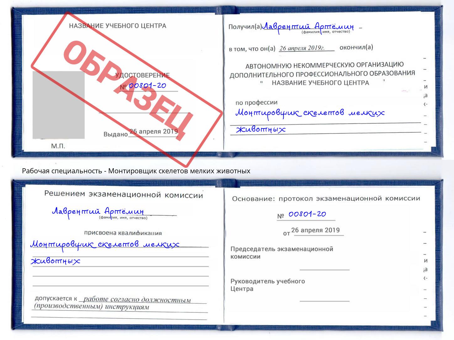 Монтировщик скелетов мелких животных Талнах